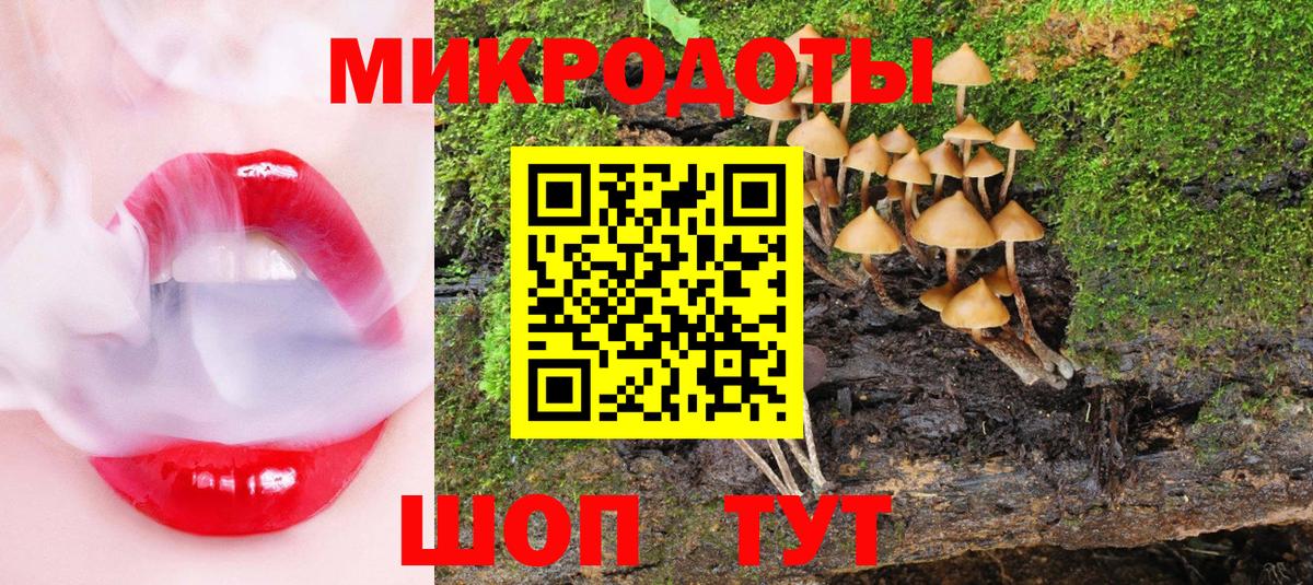 Тольятти  Галлюциногенные грибы мицелий  Вход с VPN 