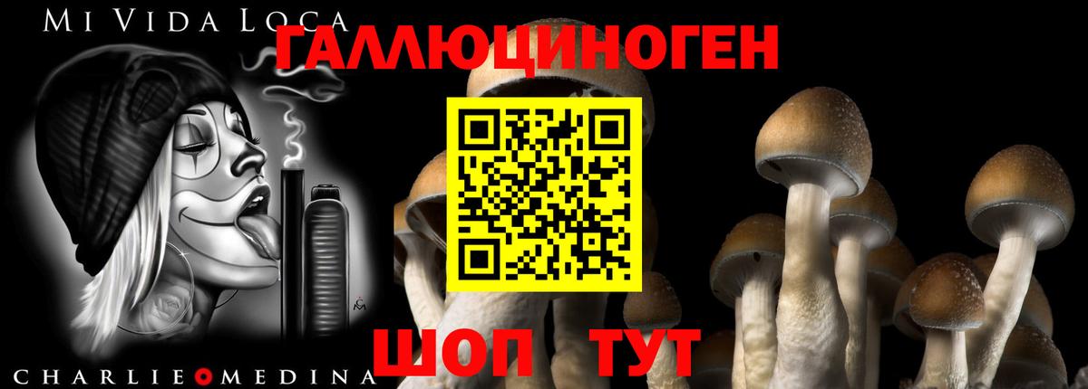 Галлюциногенные грибы ЛСД Тольятти